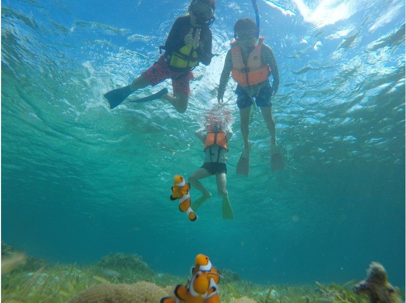 [Okinawa Bise A set limit! Kayaking and snorkeling experience (120 minutes)の紹介画像