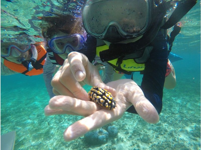 【沖縄・備瀬】一組限定！カヤック＆シュノーケリング体験（120分）の紹介画像