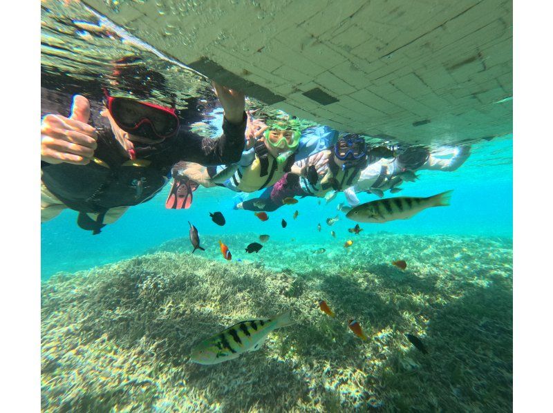 【沖縄・備瀬】一組限定！カヤック＆シュノーケリング体験（120分）の紹介画像