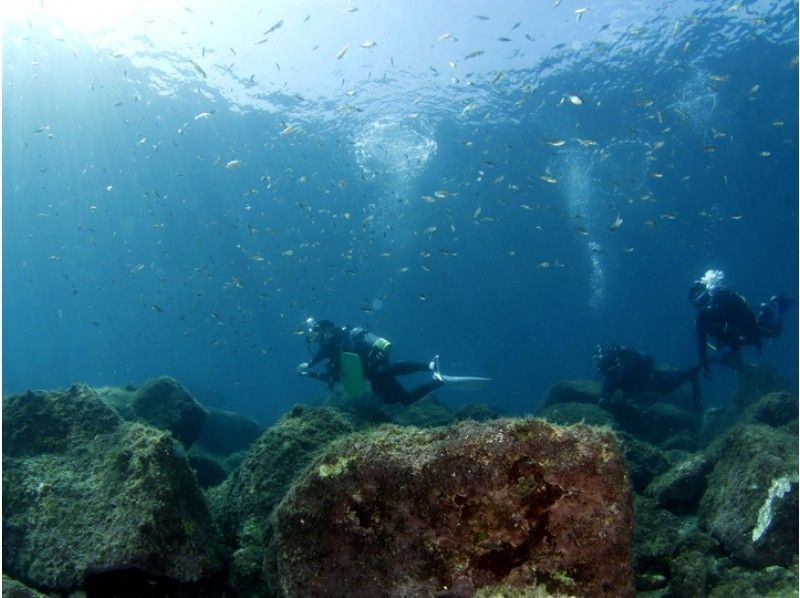 [ในอิซุโคงาเนซากิการดำน้ำตื้น(Snorkeling)+ ประสบการณ์ดำน้ำ] 9:00 น. ถึงประมาณ 5 ชั่วโมง! แนะนำสำหรับกลุ่มกิจกรรมกลางแจ้ง♪ 10 ปีの紹介画像
