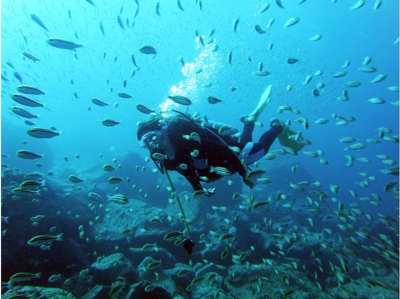 [ในอิซุโคงาเนซากิการดำน้ำตื้น(Snorkeling)+ ประสบการณ์ดำน้ำ] 9:00 น. ถึงประมาณ 5 ชั่วโมง! แนะนำสำหรับกลุ่มกิจกรรมกลางแจ้ง♪ 10 ปีの紹介画像