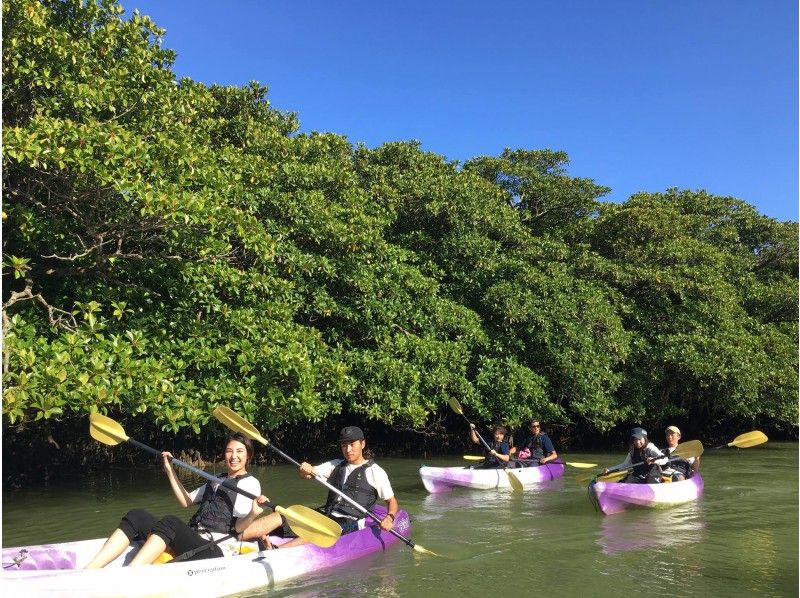 เรือแคนูและเรือคายัคในป่าโกงกางที่แนะนำในโอกินาว่าอยู่ที่ไหน แนะนำสถานที่ท่องเที่ยวและอันดับยอดนิยมอย่างละเอียด!