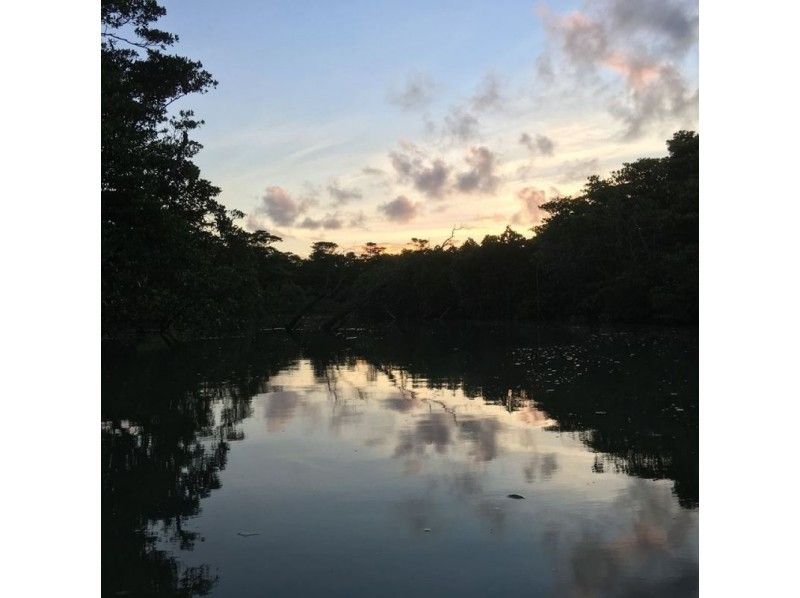 [Okinawa Ishigaki Island] "go dusk, return the starry sky" dusk Night canoe (120 minutes course)の紹介画像