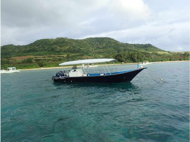 [Okinawa Ishigaki island] fan Diving (PM1 dive after arrival) (14: 00-17: 00)の紹介画像
