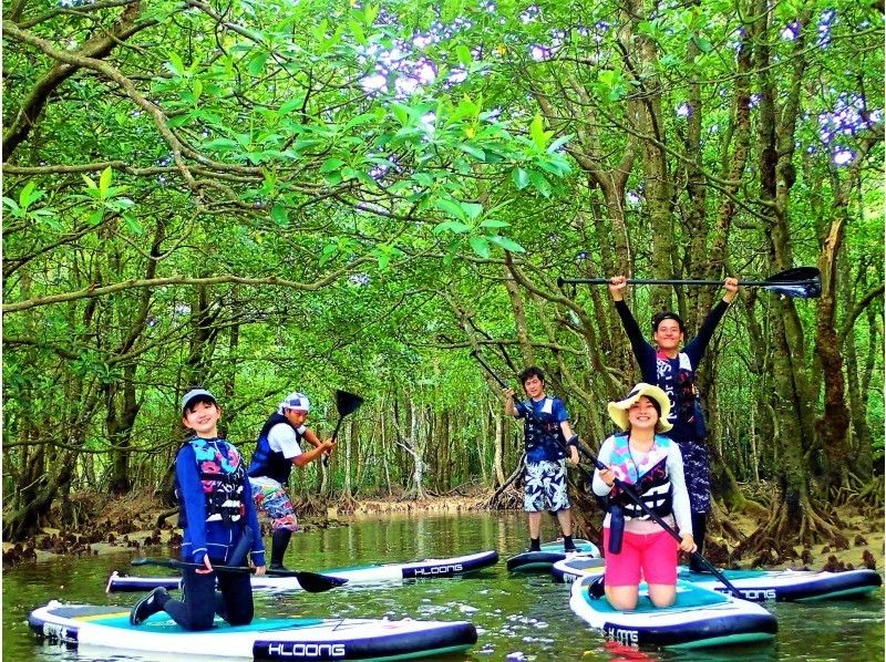 [沖縄·西表島（Iriomote Island）]獨木舟和徒步旅行和溪降（1日遊）の紹介画像