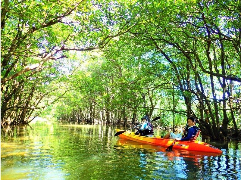 [沖縄·西表島（Iriomote Island）]獨木舟和徒步旅行和溪降（1日遊）の紹介画像