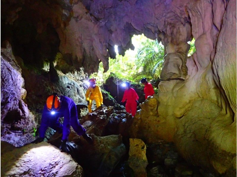 [Okinawa ・ Iriomote Island】 SUPor Canoeing & Trekking and Cave Exploration (1-Day tour)の紹介画像