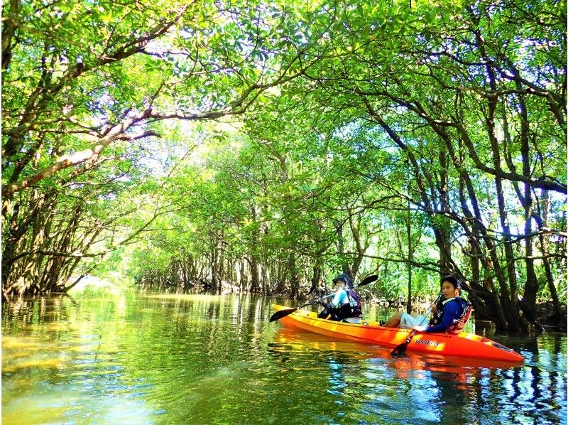 [沖縄·西表島】SUPor獨木舟和徒步旅行和洞穴探險（1日遊）の紹介画像