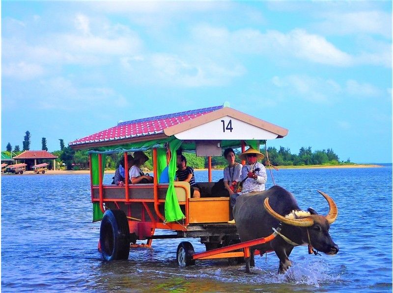 Yubu Island tour by Columbus water buffalo cart from Iriomote Island