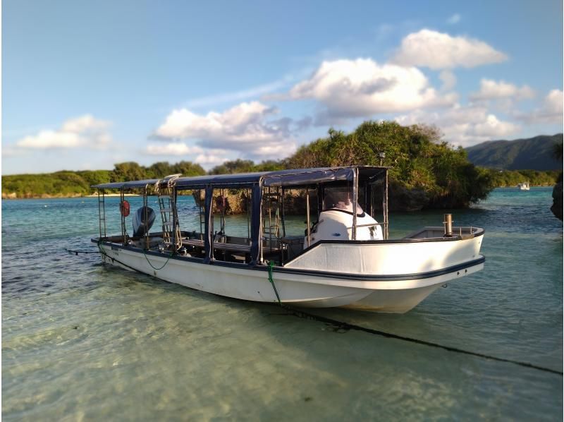 【石垣島・川平】川平ならでは！カメも憧れのマンタもとにかく近くて大迫力！！基本の午前2ダイブコースの紹介画像