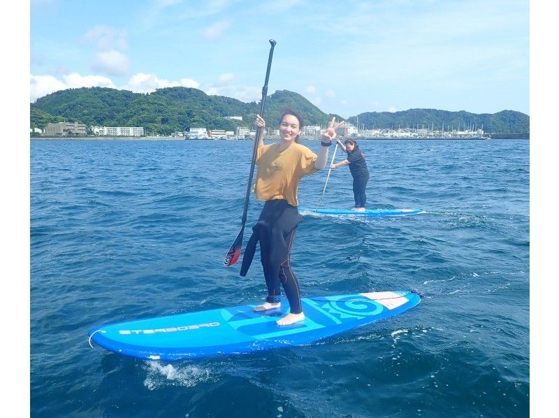 【神奈川・逗子】初めての方向け！逗子海岸をクルージングSUP体験！（海上写真撮影付き）