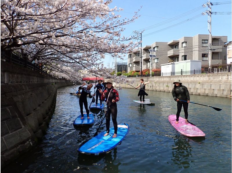 [Shonan ・ Saiko】 For beginners! Shonan ・ The sea shore Cruising SUP Experience!