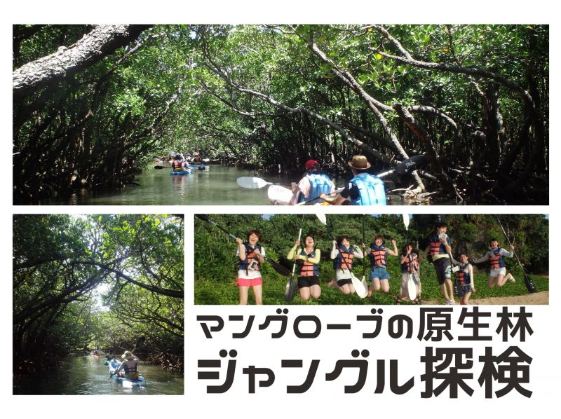 SALE! [Okinawa, Ishigaki Island] Small group tour ★ Choice of kayak/SUP ★ Special tour of silent mangroves and open blue sea ★の紹介画像