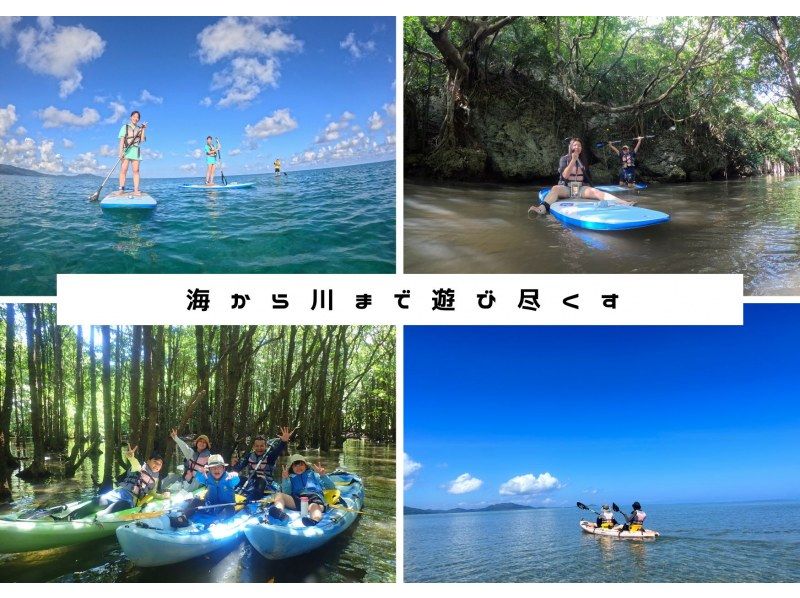 【沖縄・石垣島】少人数制★選べるカヤック/SUP★静寂のマングローブ＆開放的な青い海のスペシャルツアー★の紹介画像