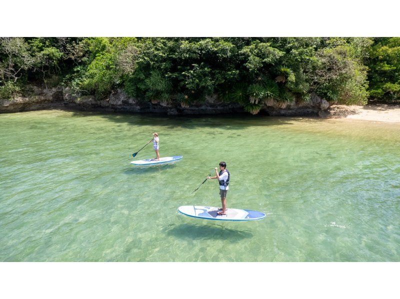 【石垣島/マングローブ＆海】海況に合わせてご案内｜マングローブ＆海カヤック/SUP｜少人数で安心の体験の紹介画像