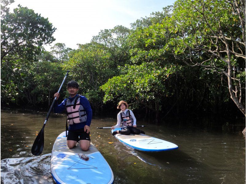 SALE! [Okinawa, Ishigaki Island] Small group tour ★ Choice of kayak/SUP ★ Special tour of silent mangroves and open blue sea ★の紹介画像