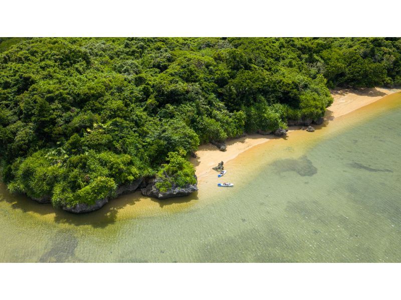 【石垣島/マングローブ＆海】海況に合わせてご案内｜マングローブ＆海カヤック/SUP｜少人数で安心の体験の紹介画像