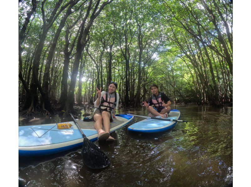 [Okinawa, Ishigaki Island] Small group tour ★ Choose from kayaking or SUP ★ Special tour of the silent mangroves and open blue sea ★の紹介画像