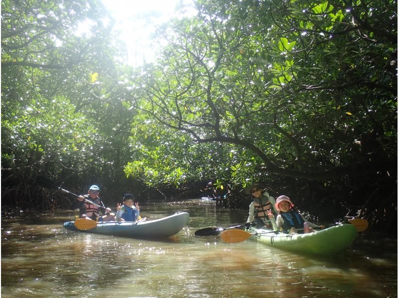 [Okinawa, Ishigaki Island] Small group tour ★ Choose from kayaking or SUP ★ Special tour of the silent mangroves and open blue sea ★の紹介画像