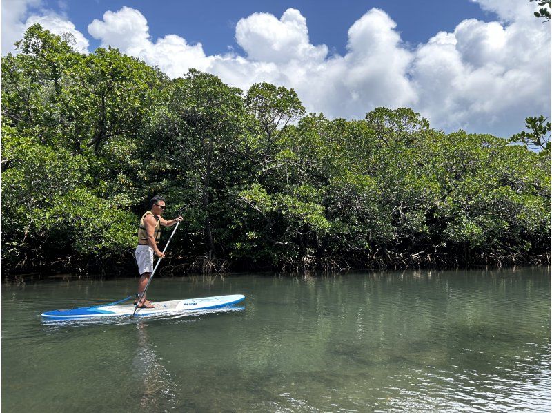 SALE! [Okinawa, Ishigaki Island] Small group tour ★ Choice of kayak/SUP ★ Special tour of silent mangroves and open blue sea ★の紹介画像