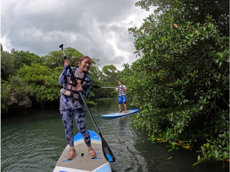 SALE! [Okinawa, Ishigaki Island] Small group tour ★ Choice of kayak/SUP ★ Special tour of silent mangroves and open blue sea ★の紹介画像