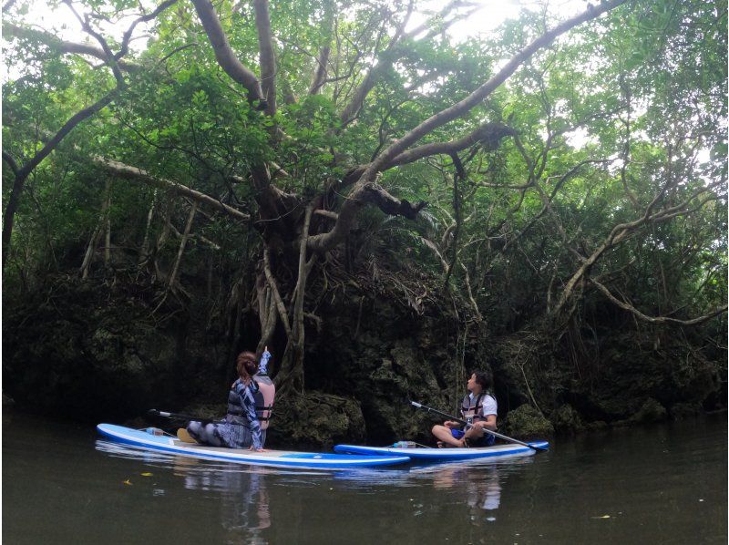 [Okinawa, Ishigaki Island] Small group tour ★ Choose from kayaking or SUP ★ Special tour of the silent mangroves and open blue sea ★の紹介画像