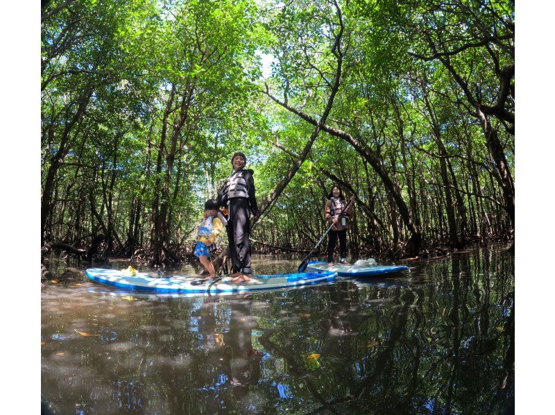 [Okinawa, Ishigaki Island] Small group tour ★ Choose from kayaking or SUP ★ Special tour of the silent mangroves and open blue sea ★の紹介画像