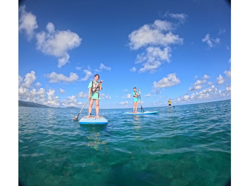 [Okinawa, Ishigaki Island] Small group tour ★ Choose from kayaking or SUP ★ Special tour of the silent mangroves and open blue sea ★の紹介画像