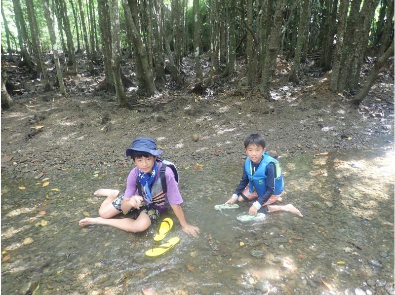 SALE! [Okinawa, Ishigaki Island] Small group tour ★ Choice of kayak/SUP ★ Special tour of silent mangroves and open blue sea ★の紹介画像