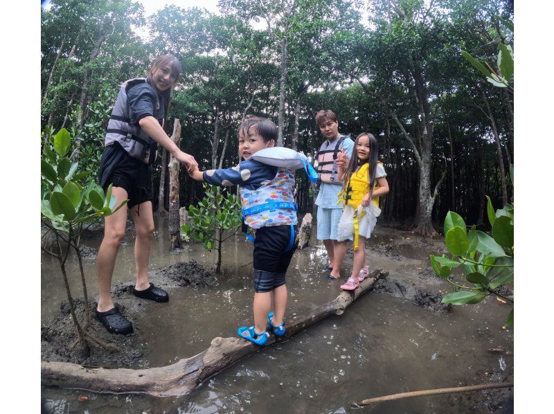 [Okinawa, Ishigaki Island] Small group tour ★ Choose from kayaking or SUP ★ Special tour of the silent mangroves and open blue sea ★の紹介画像