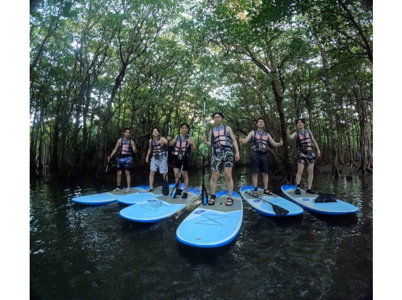 [Okinawa, Ishigaki Island] Small group tour ★ Choose from kayaking or SUP ★ Special tour of the silent mangroves and open blue sea ★の紹介画像