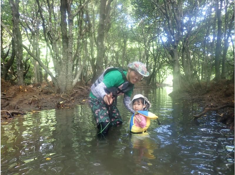 [Okinawa, Ishigaki Island] Small group tour ★ Choose from kayaking or SUP ★ Special tour of the silent mangroves and open blue sea ★の紹介画像