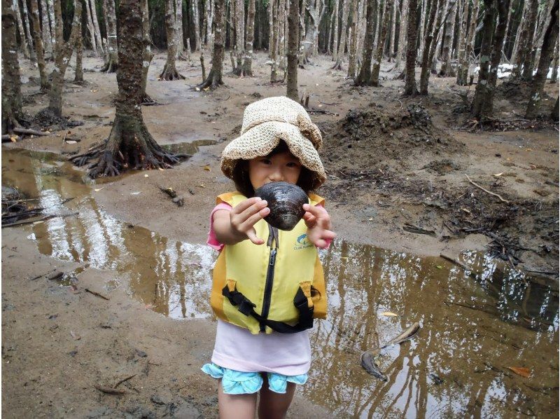 SALE! [Okinawa, Ishigaki Island] Small group tour ★ Choice of kayak/SUP ★ Special tour of silent mangroves and open blue sea ★の紹介画像