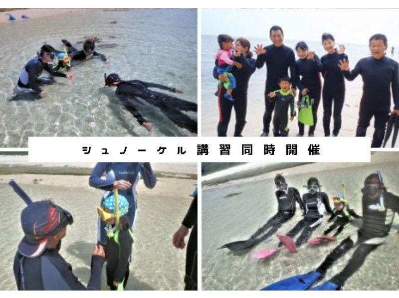 [Okinawa/Ishigaki Island] Spring sale underway ★ Coral fish snorkeling ☆ Small children welcome ★ Snorkeling course held at the same time ☆の紹介画像