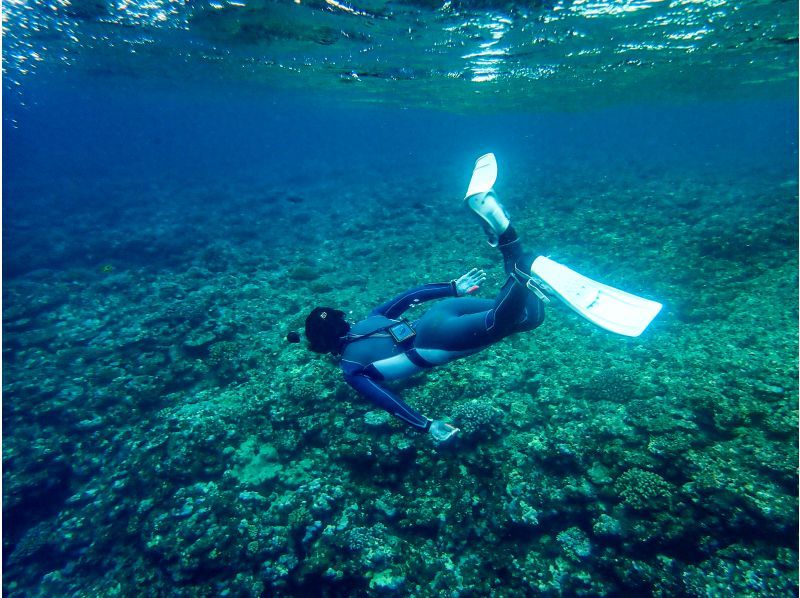 [ 沖繩，石垣島 ] 青洞浮潛！由於團體規模較小且可進入海灘，因此歡迎小孩和初學者！也許你甚至會看到海龜？の紹介画像