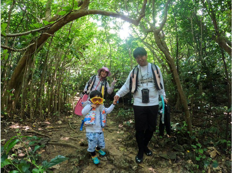 【沖縄・石垣島】青の洞窟シュノーケル！安心の少人数制＆ビーチエントリーで小さなお子様、初心者大歓迎！ウミガメにも会えるかも？の紹介画像