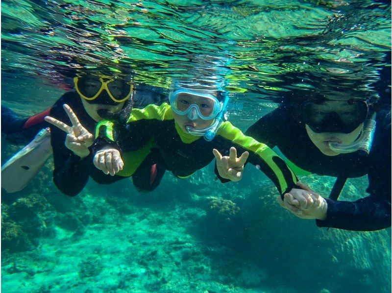 [ 沖繩，石垣島 ] 青洞浮潛！由於團體規模較小且可進入海灘，因此歡迎小孩和初學者！也許你甚至會看到海龜？の紹介画像