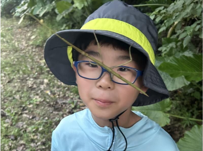 【石垣島・ナイトサファリ】夕方から夜へ｜島の自然を巡るナイトウォッチング｜レーザー星空案内付きの紹介画像