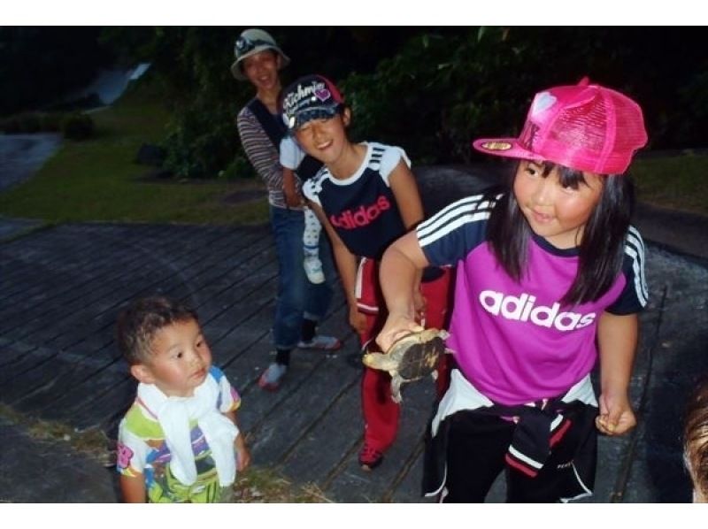 【石垣島・ナイトサファリ】夕方から夜へ｜島の自然を巡るナイトウォッチング｜レーザー星空案内付きの紹介画像