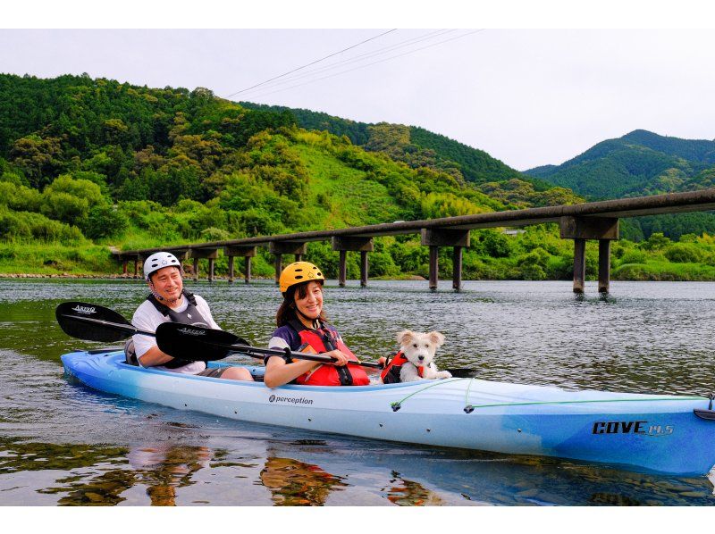 [ชิมันโตะทัวร์พายเรือแคนูในแม่น้ำ! (สองชั่วโมงครึ่ง) 】ชิมันโตะล่องเรือแคนูในแม่น้ำ! พร้อมของว่างและชา♪の紹介画像