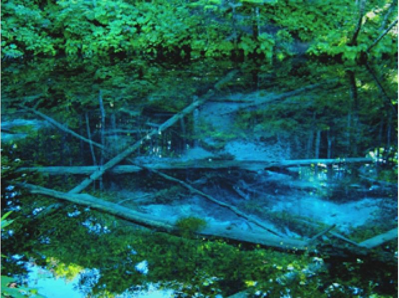 【摩周湖】MTB裏摩周・神の子池ダウンヒルツーリングの紹介画像