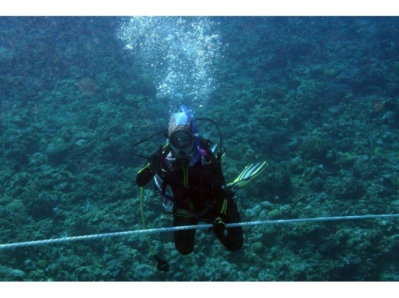 [1 group charter] photo shooting data LINE sending free! [Experience]Diving]の紹介画像