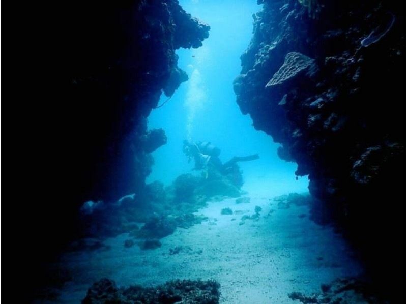 [Okinawa Onna Village] Free underwater photography! Custom-made fun divingの紹介画像