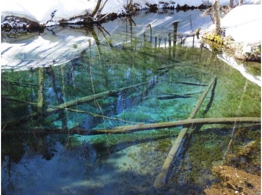 Hokkaido, Shiretoko] Departure at 11:30, Kaminoko Pond Snowshoe
