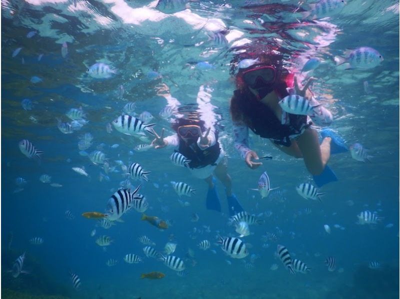 [美丽海水族馆、古宇利岛今归仁村]1组预约！在隐秘的海滩享受 SUP 和浮潜！出海后的咖啡时间♪含饮料和小吃の紹介画像