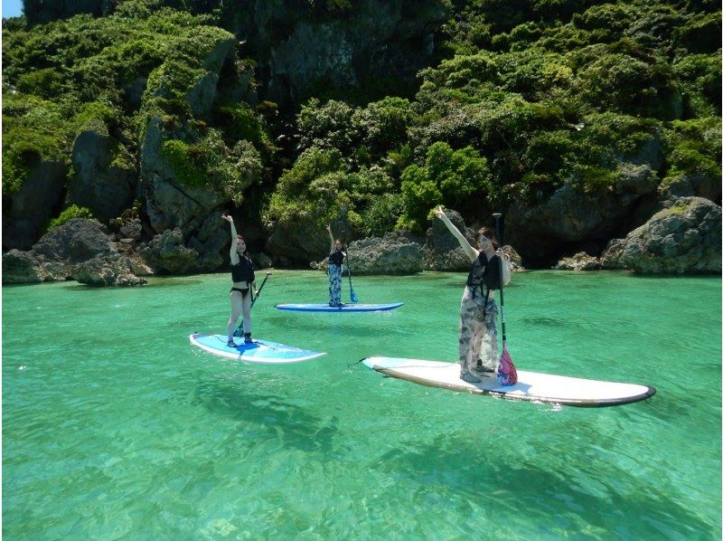 [Around Churaumi Aquarium, Nakijin Village, and Kouri Island] Private tour for one group! SUP and snorkeling at a hidden beach! Cafe time after the sea♪ Drinks and snacks includedの紹介画像