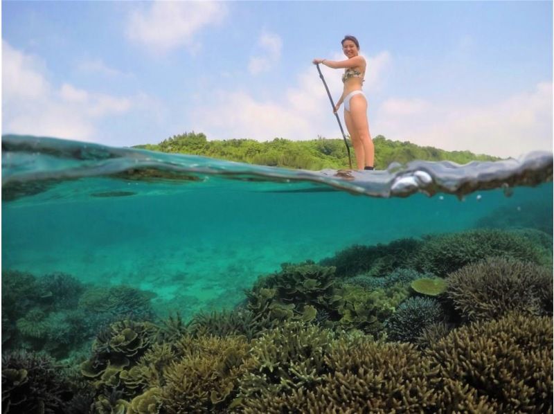 销售！ [美丽海水族馆、古宇利岛今归仁村]1组预约！在隐秘的海滩享受 SUP 和浮潜！出海后的咖啡时光♪含饮料和小吃の紹介画像