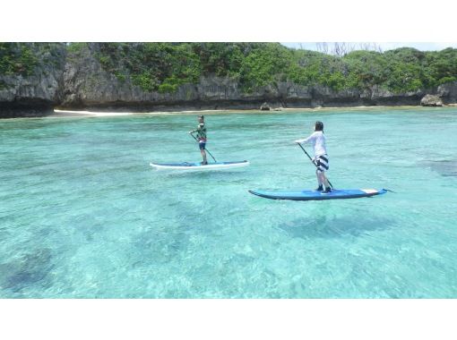 9月 10月もセール継続中 美ら海水族館 今帰仁村周辺 穴場ビーチ 1組貸切 Supクルージング シュノーケル 写真 ドリンクサービス アクティビティジャパン