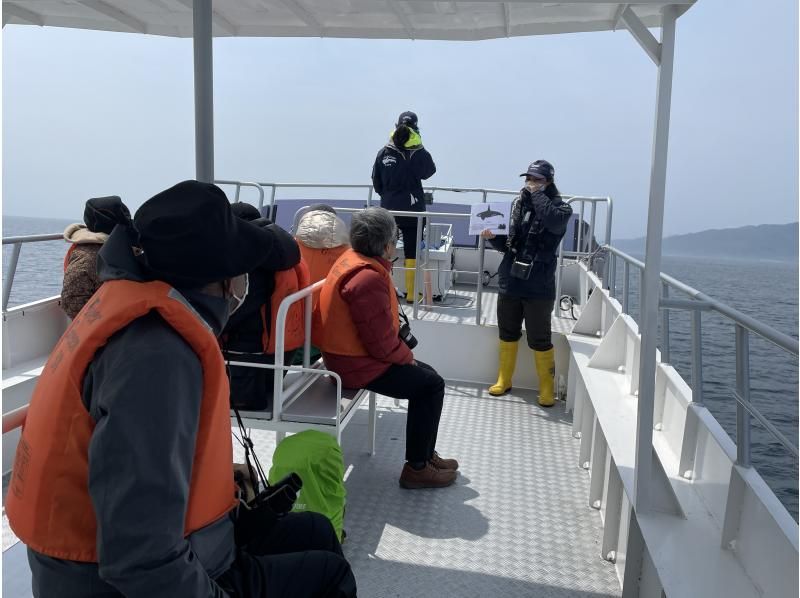 [北海道知床]您可以在天然海中遇見鯨魚和海豚！沒有經驗的遊船の紹介画像