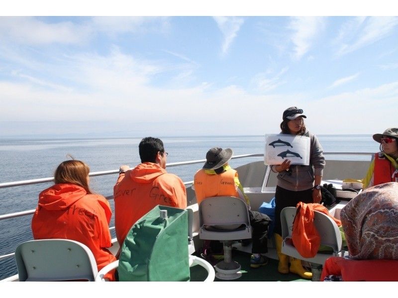 [北海道知床]您可以在天然海中遇見鯨魚和海豚！沒有經驗的遊船の紹介画像